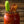 Sriracha Bloody Mary- 2PK