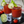 Dill Pickle Bloody Mary - 2pk